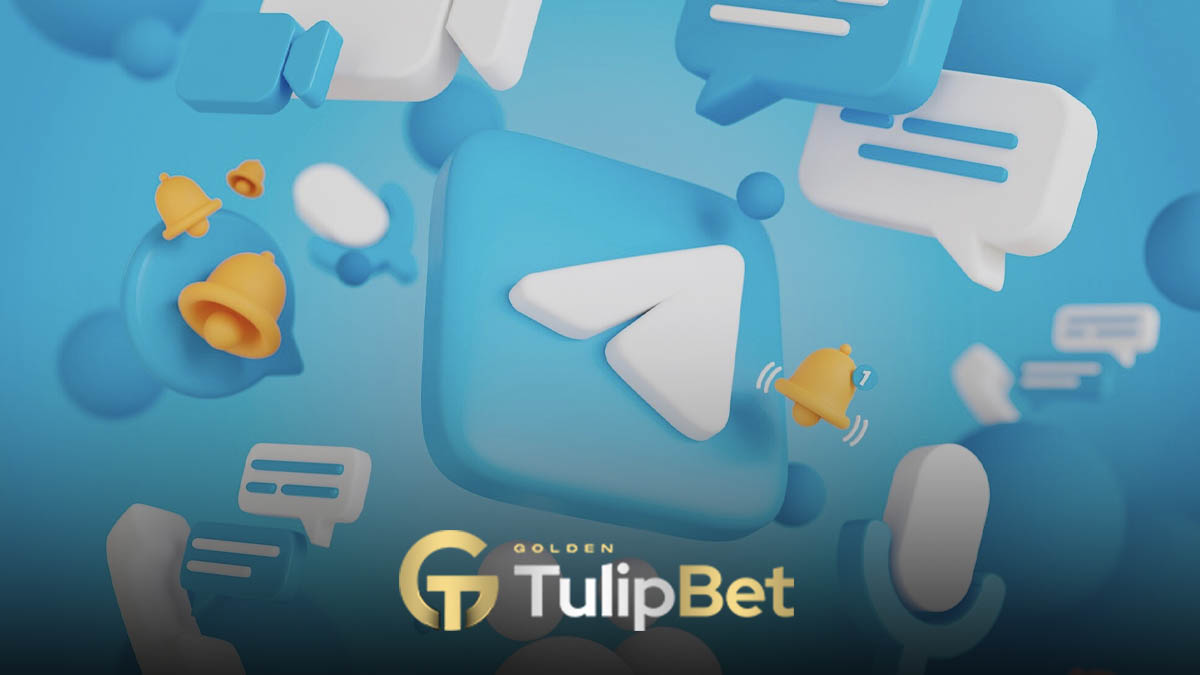 Tulipbet Telegram