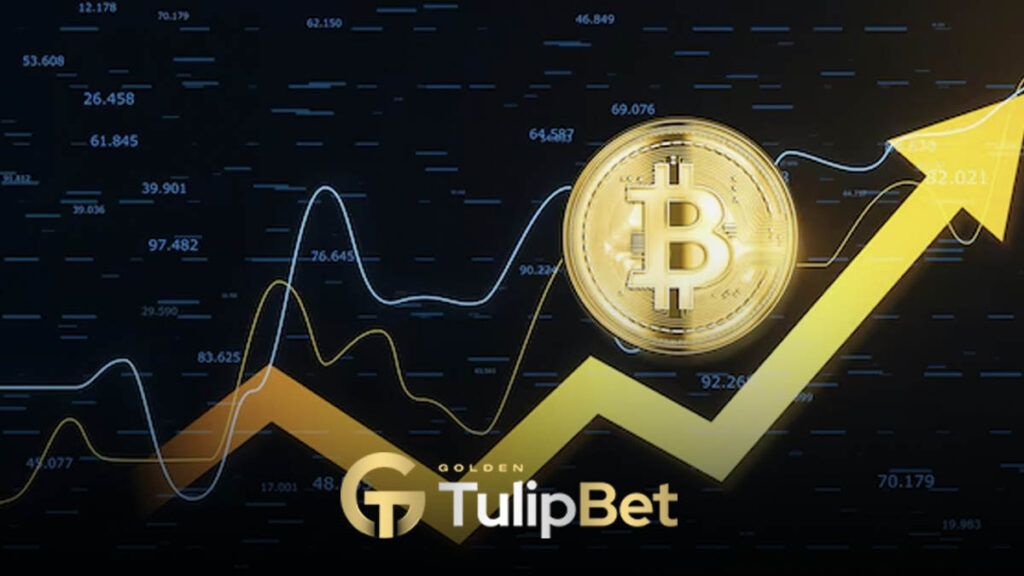 Tulipbet kripto yatırım