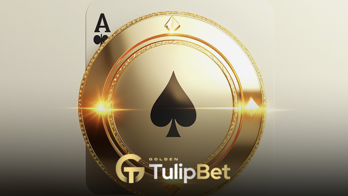 Tulipbet bahis sihirbazı