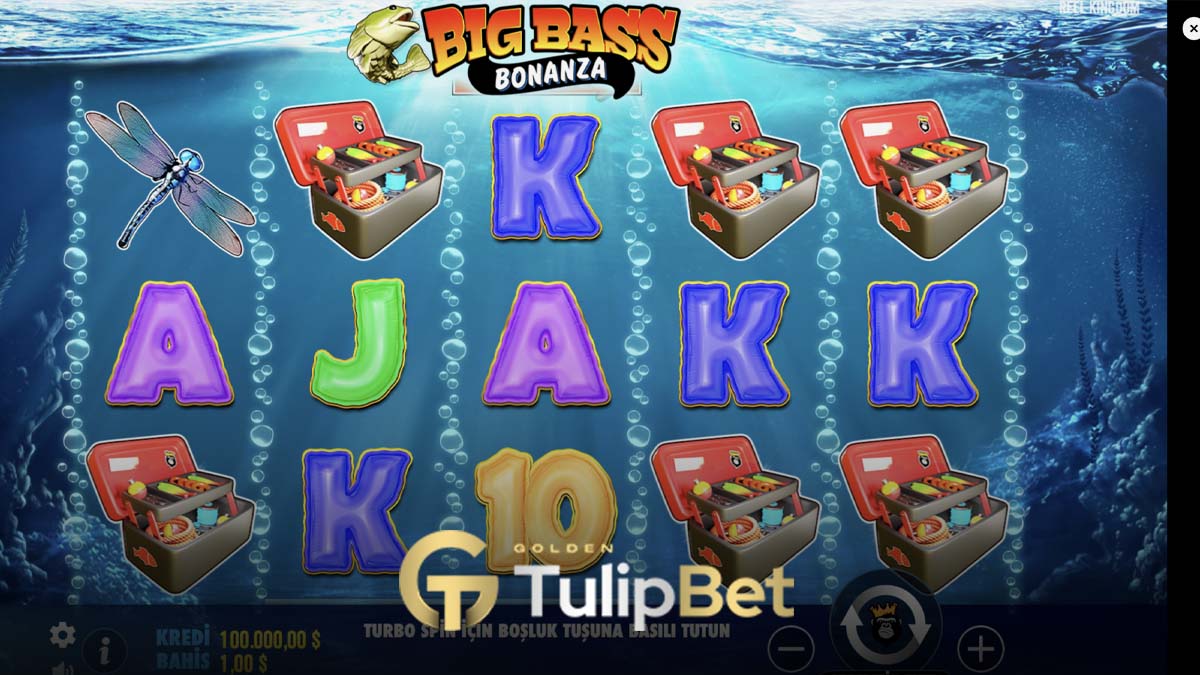 Tulipbet big bass bonanza