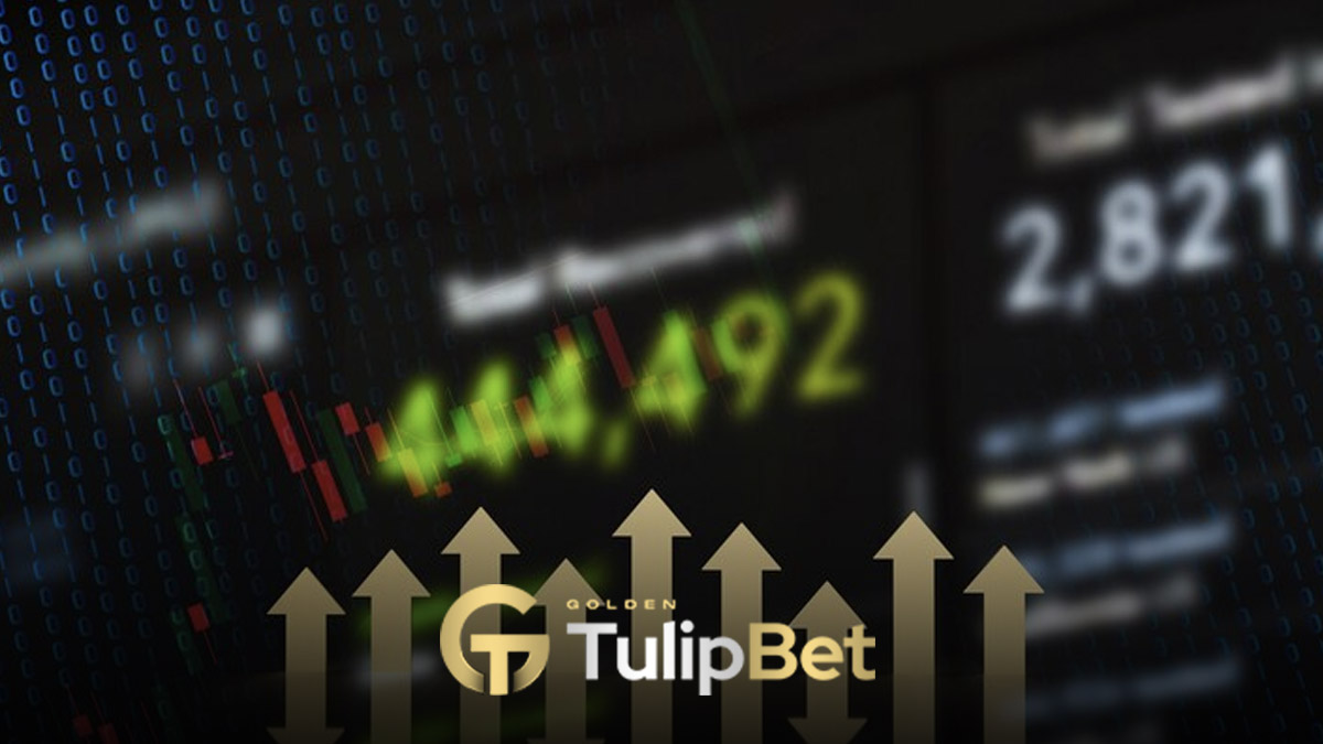 Tulipbet limitleri