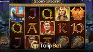 Tulipbet endorphina süper slot turnuvası